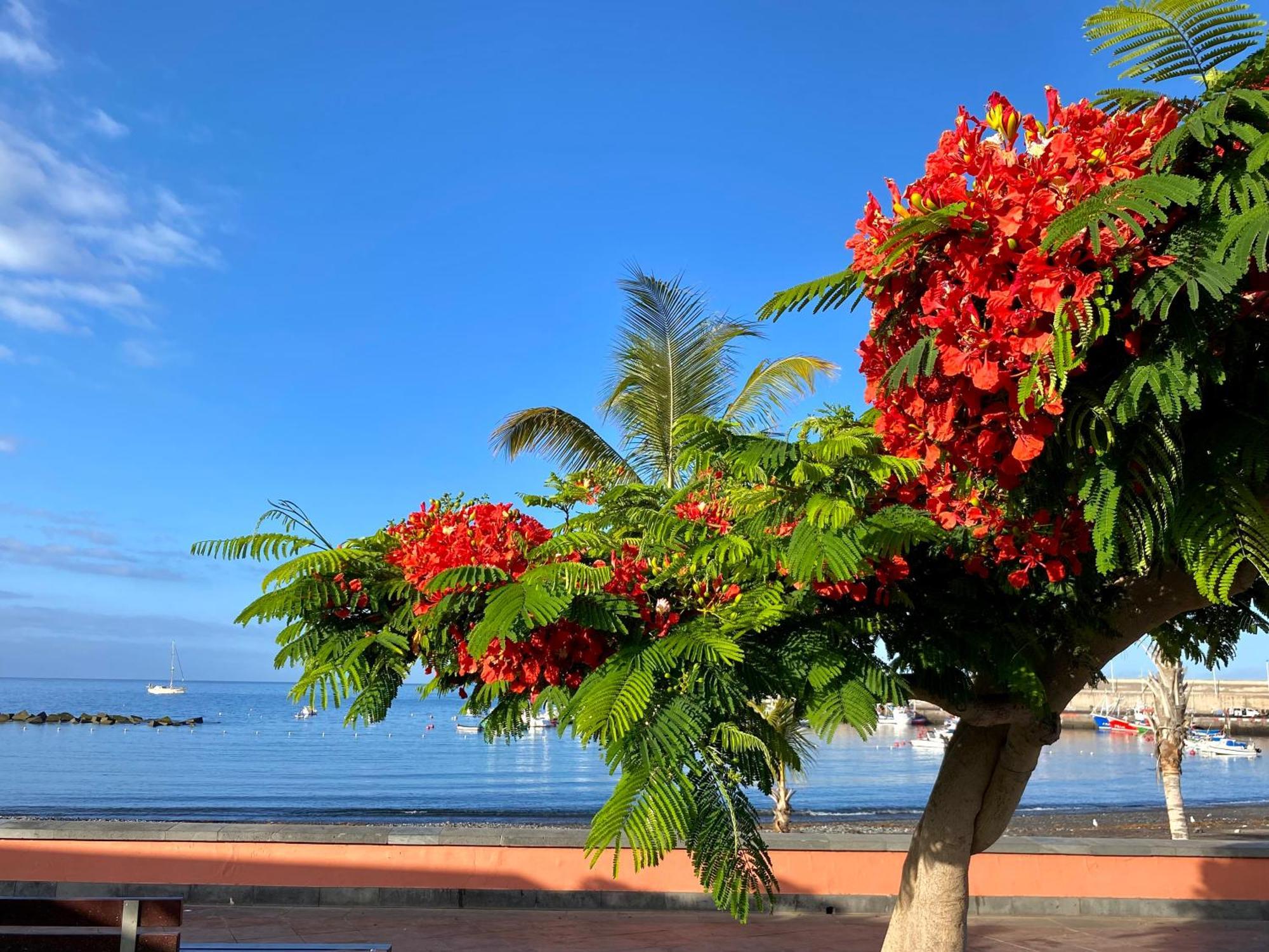 Casa Antonio - Apartamento Sol Playa de San Juan  Eksteriør bilde